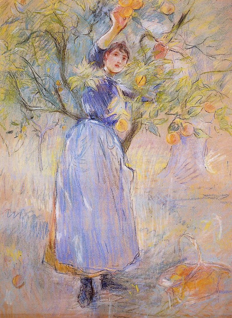 La raccolta delle arance